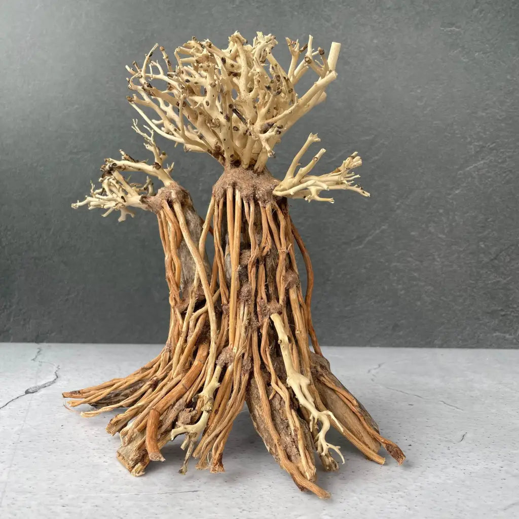 Aquascaping Handmade Aquatic Bonsai Driftwood Tree 25cm(L)x20cm(H) ABQ127