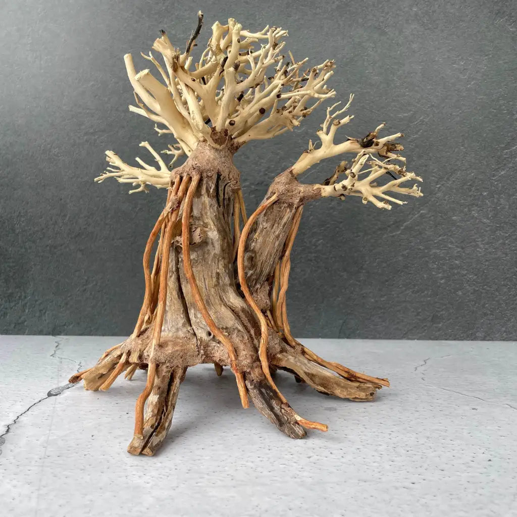 Aquascaping Handmade Aquatic Bonsai Driftwood Tree 25cm(L)x20cm(H) ABQ127