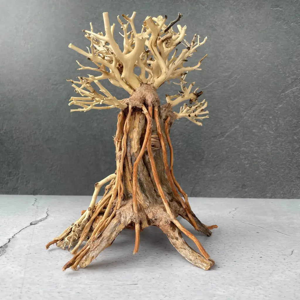 Aquascaping Handmade Aquatic Bonsai Driftwood Tree 25cm(L)x20cm(H) ABQ127