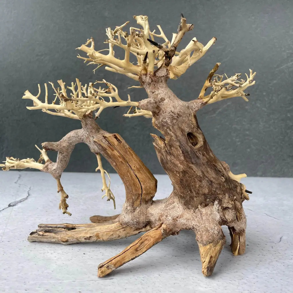 Aquascaping Handmade Aquatic Bonsai Driftwood Tree 25cm(L)x20cm(H) ABQ39