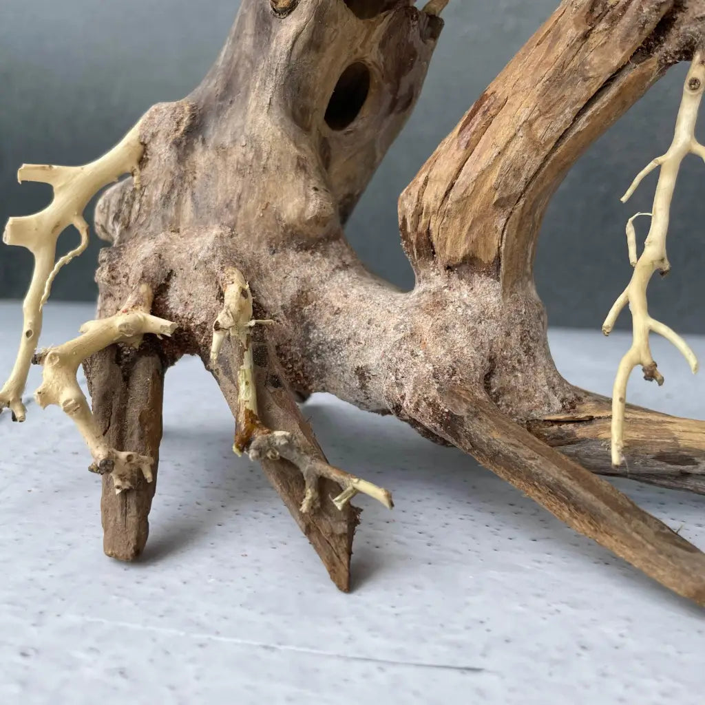 Aquascaping Handmade Aquatic Bonsai Driftwood Tree 25cm(L)x20cm(H) ABQ39