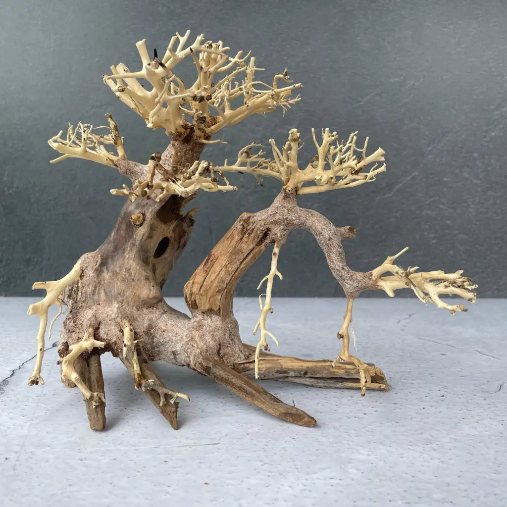 Aquascaping Handmade Aquatic Bonsai Driftwood Tree 25cm(L)x20cm(H) ABQ39