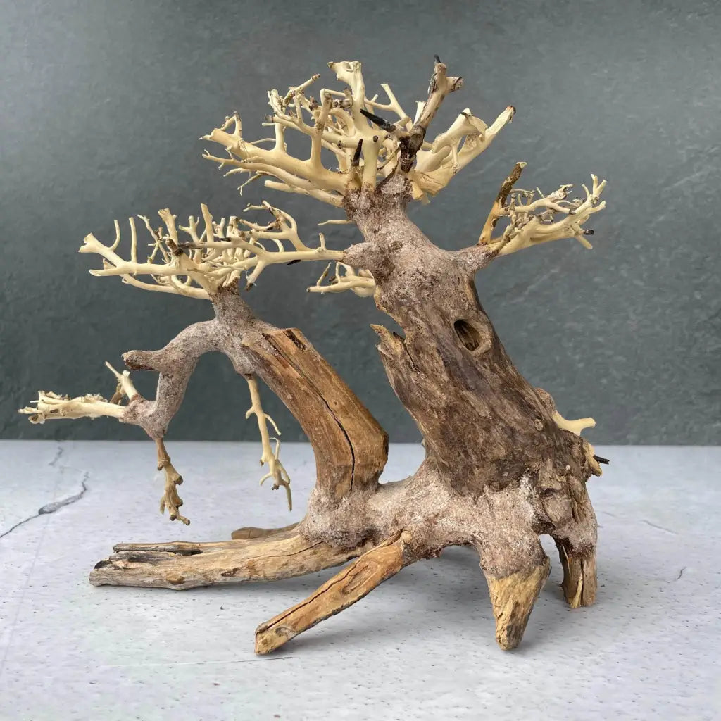 Aquascaping Handmade Aquatic Bonsai Driftwood Tree 25cm(L)x20cm(H) ABQ39