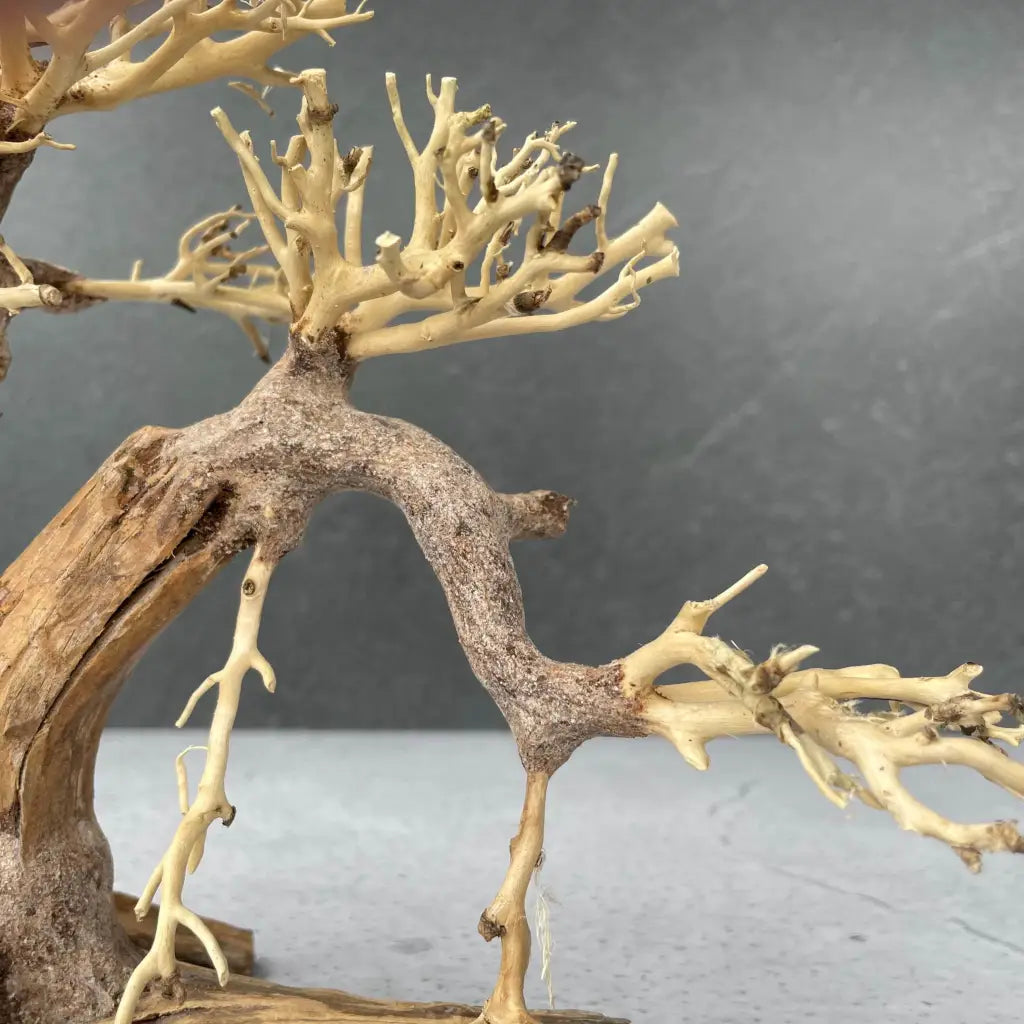 Aquascaping Handmade Aquatic Bonsai Driftwood Tree 25cm(L)x20cm(H) ABQ39
