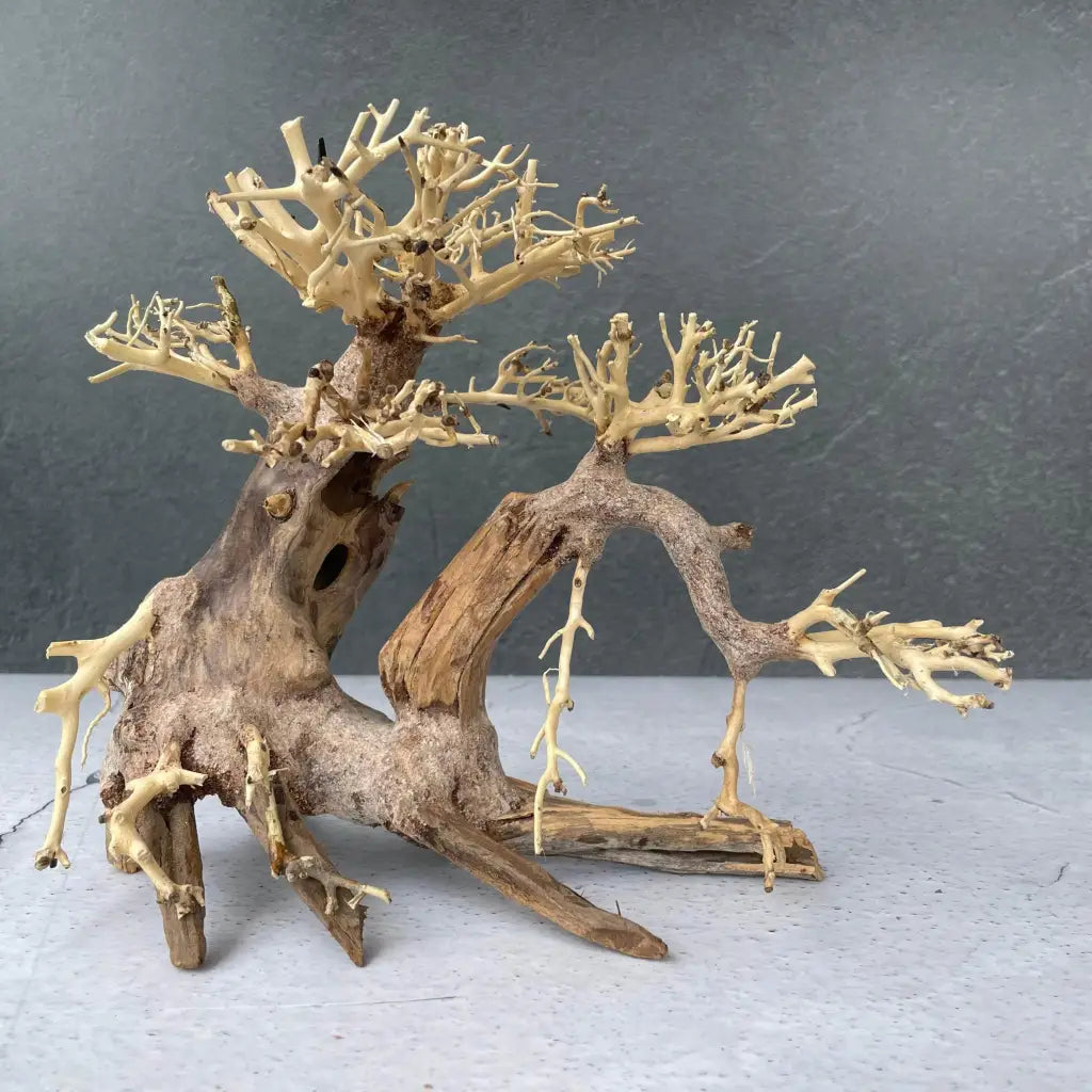 Aquascaping Handmade Aquatic Bonsai Driftwood Tree 25cm(L)x20cm(H) ABQ39