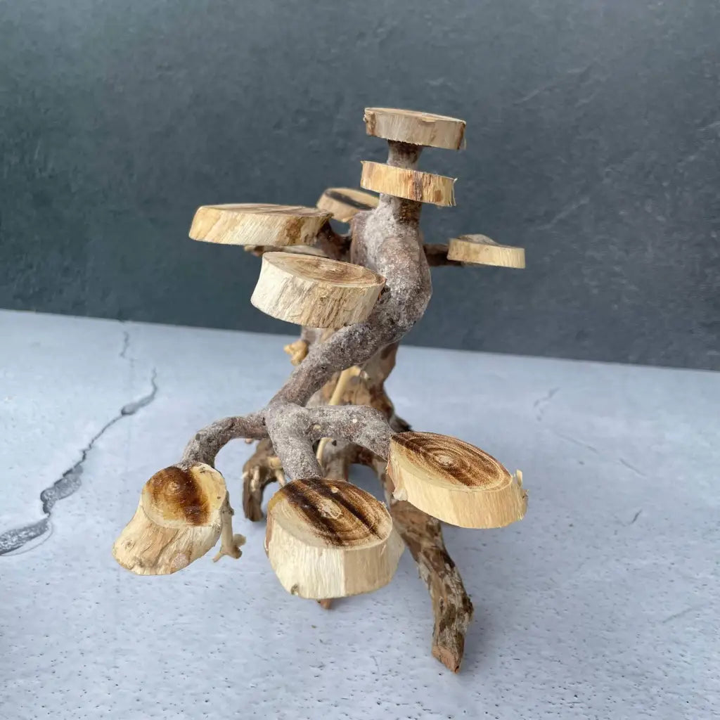 Aquascaping Handmade Aquatic Bonsai Driftwood Tree 25cm(L)x20cm(H) ABQ58