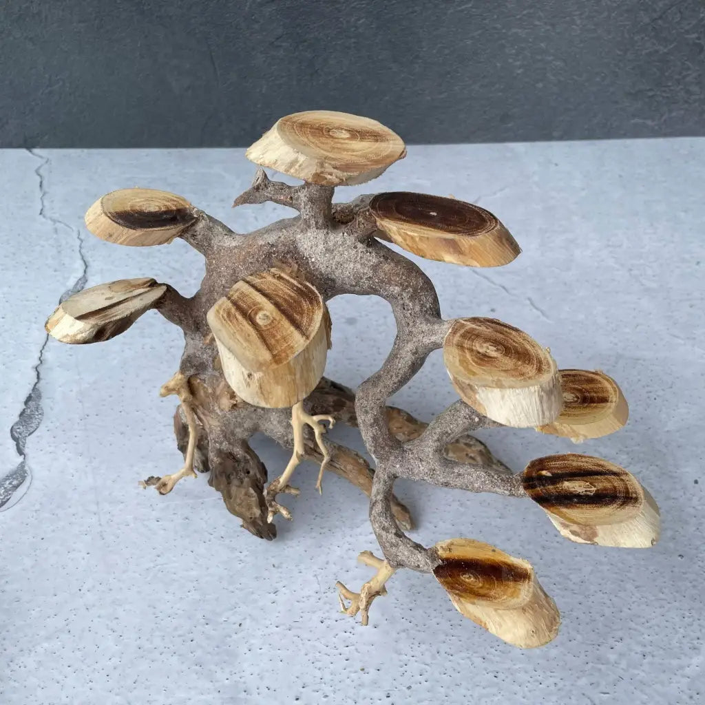 Aquascaping Handmade Aquatic Bonsai Driftwood Tree 25cm(L)x20cm(H) ABQ58