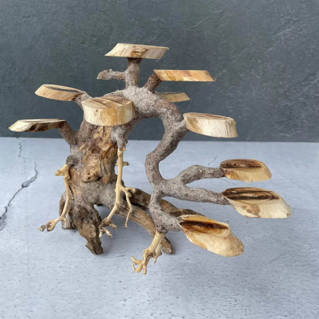 Aquascaping Handmade Aquatic Bonsai Driftwood Tree 25cm(L)x20cm(H) ABQ58