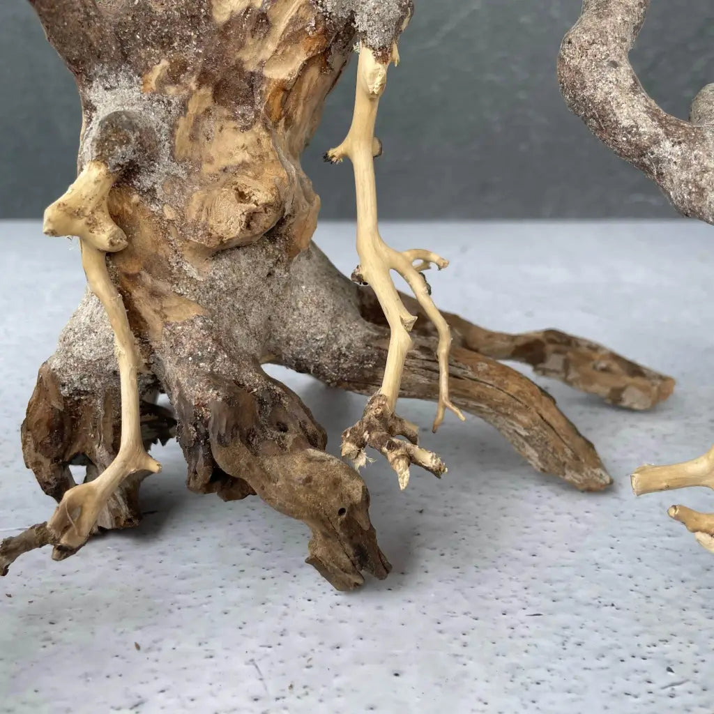 Aquascaping Handmade Aquatic Bonsai Driftwood Tree 25cm(L)x20cm(H) ABQ58