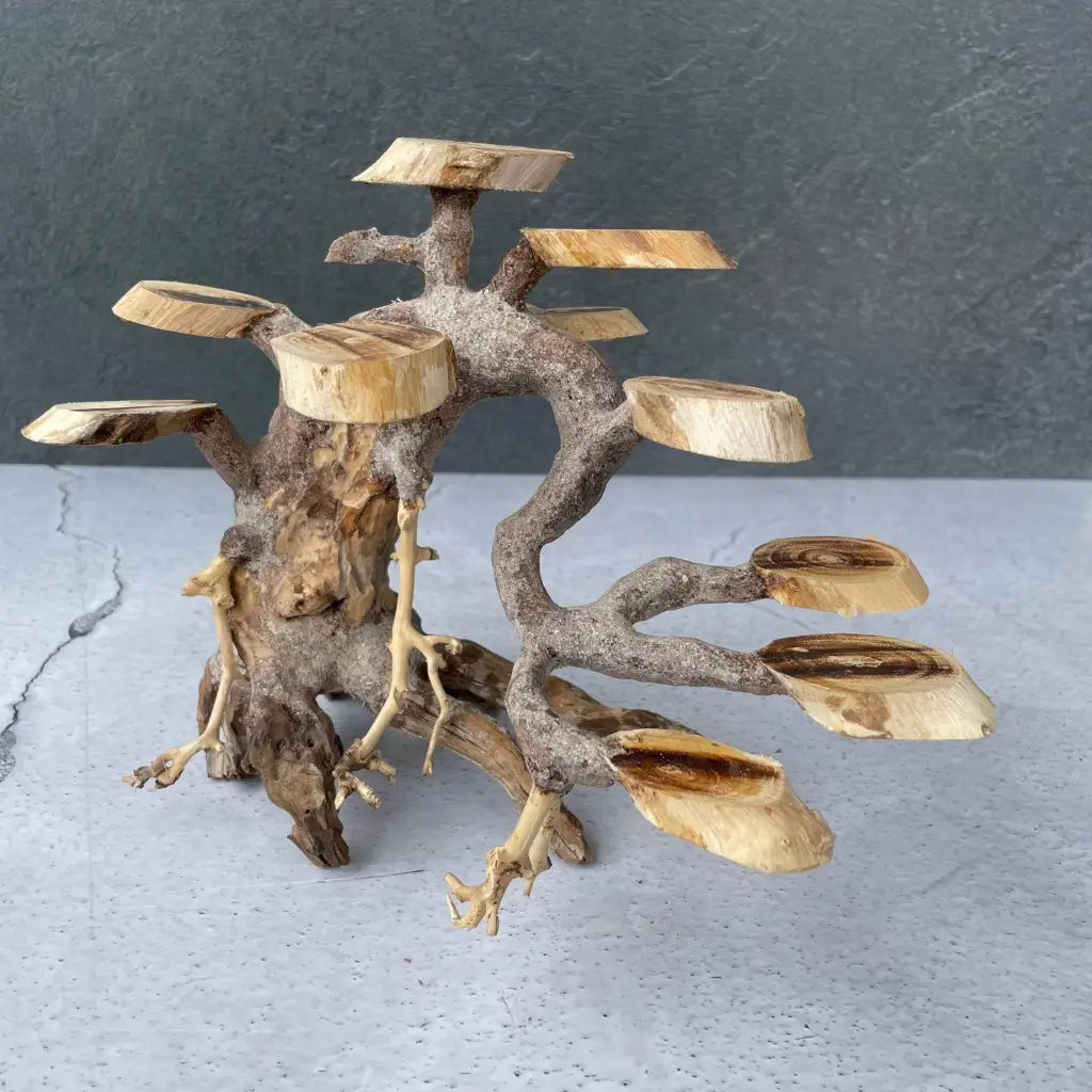 Aquascaping Handmade Aquatic Bonsai Driftwood Tree 25cm(L)x20cm(H) ABQ58