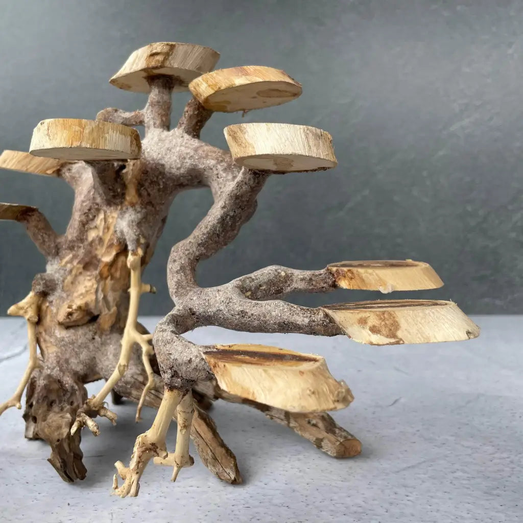 Aquascaping Handmade Aquatic Bonsai Driftwood Tree 25cm(L)x20cm(H) ABQ58