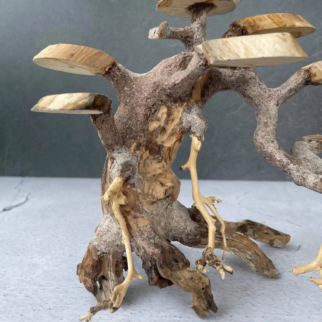 Aquascaping Handmade Aquatic Bonsai Driftwood Tree 25cm(L)x20cm(H) ABQ58