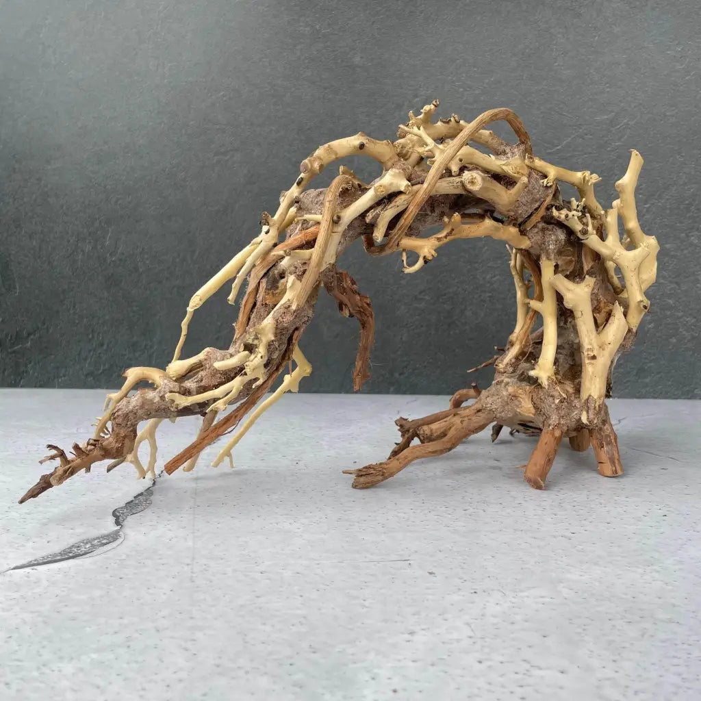 Aquascaping Handmade Aquatic Bonsai Driftwood Tree 25cm(L)x20cm(H) ABQ76