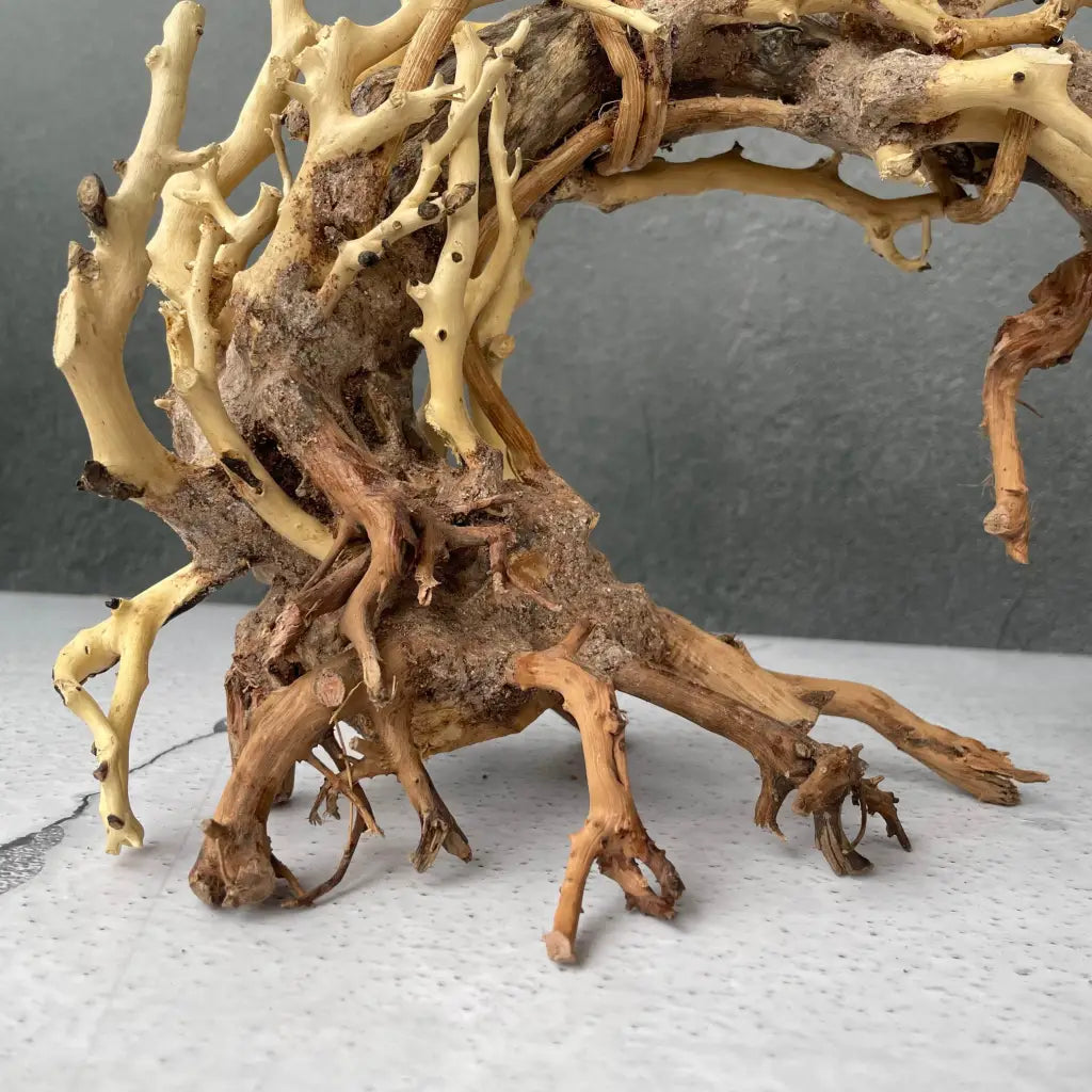 Aquascaping Handmade Aquatic Bonsai Driftwood Tree 25cm(L)x20cm(H) ABQ76