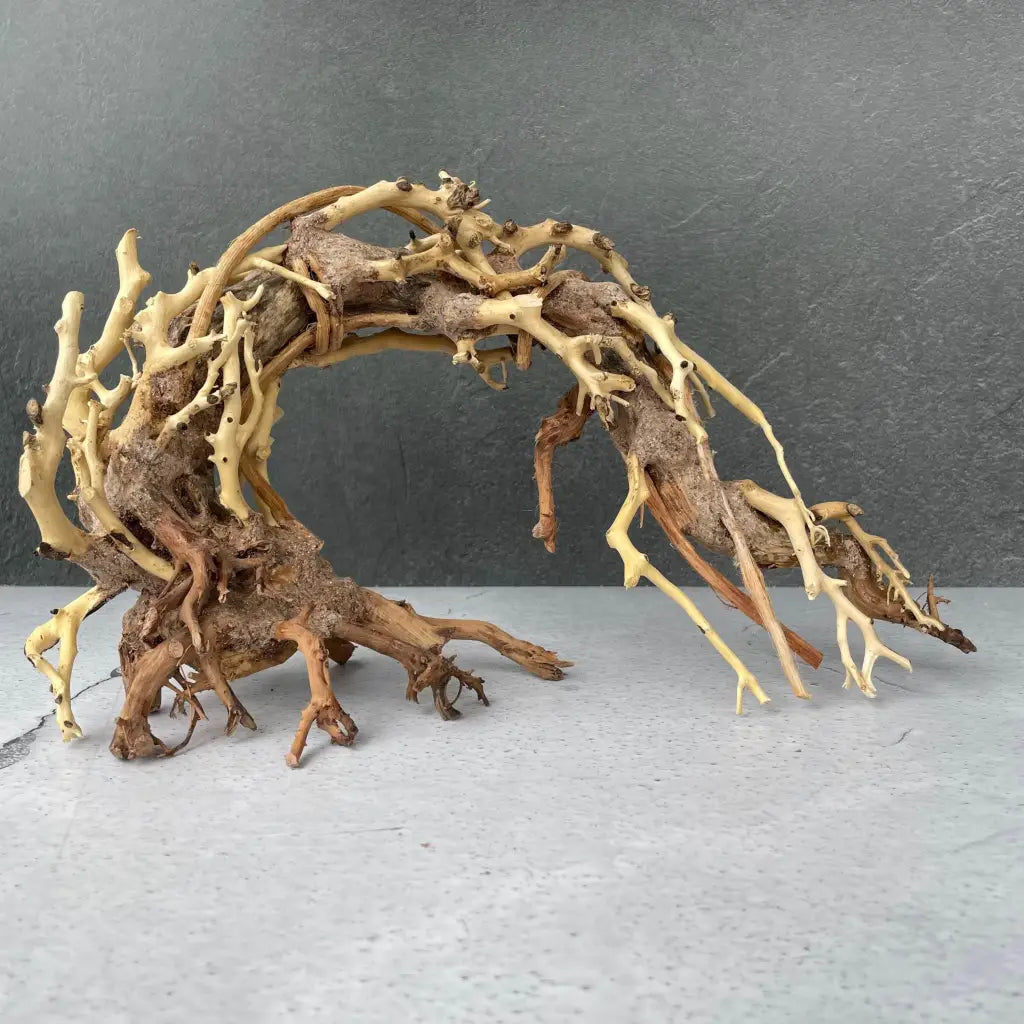 Aquascaping Handmade Aquatic Bonsai Driftwood Tree 25cm(L)x20cm(H) ABQ76
