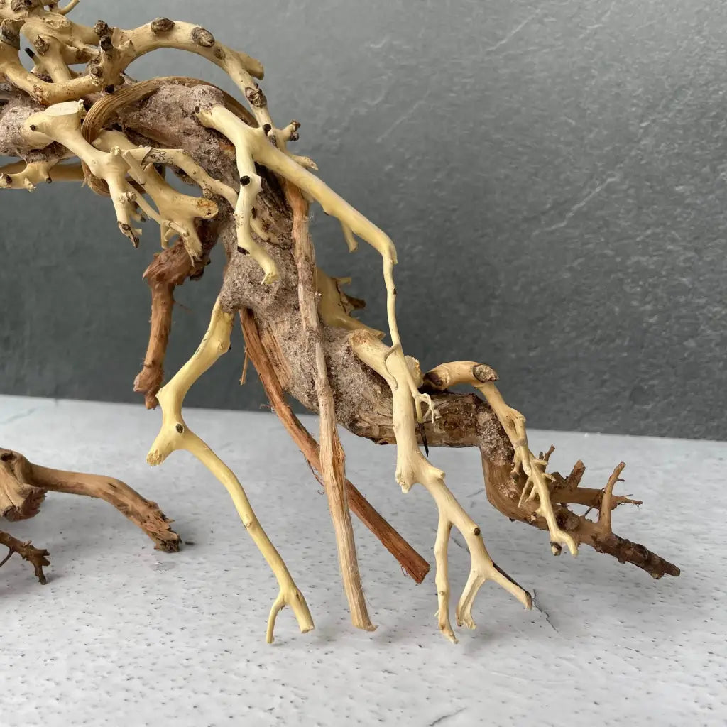 Aquascaping Handmade Aquatic Bonsai Driftwood Tree 25cm(L)x20cm(H) ABQ76