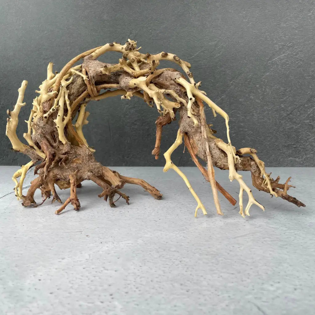 Aquascaping Handmade Aquatic Bonsai Driftwood Tree 25cm(L)x20cm(H) ABQ76