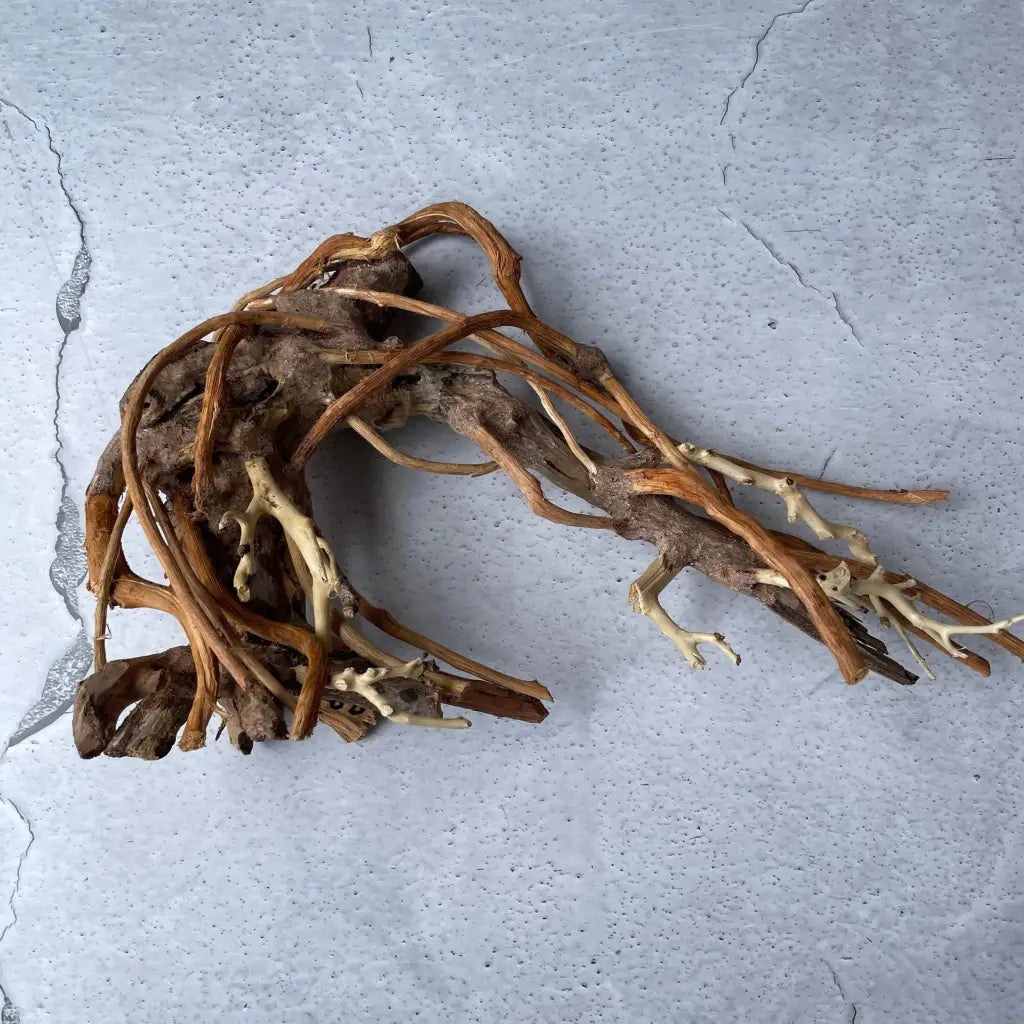 Aquascaping Handmade Aquatic Bonsai Driftwood Tree 25cm(L)x20cm(H) ABQ80