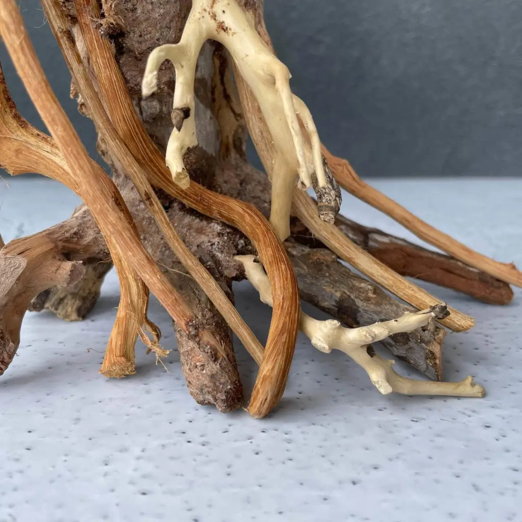 Aquascaping Handmade Aquatic Bonsai Driftwood Tree 25cm(L)x20cm(H) ABQ80