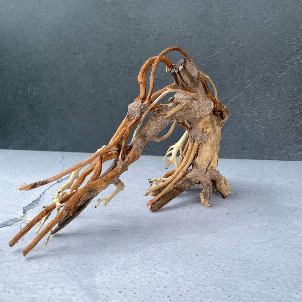 Aquascaping Handmade Aquatic Bonsai Driftwood Tree 25cm(L)x20cm(H) ABQ80