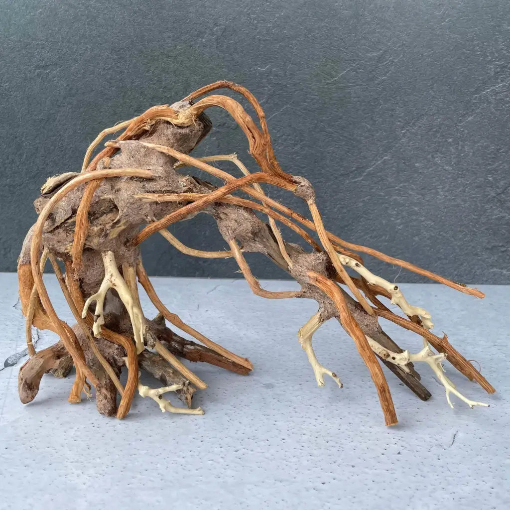 Aquascaping Handmade Aquatic Bonsai Driftwood Tree 25cm(L)x20cm(H) ABQ80