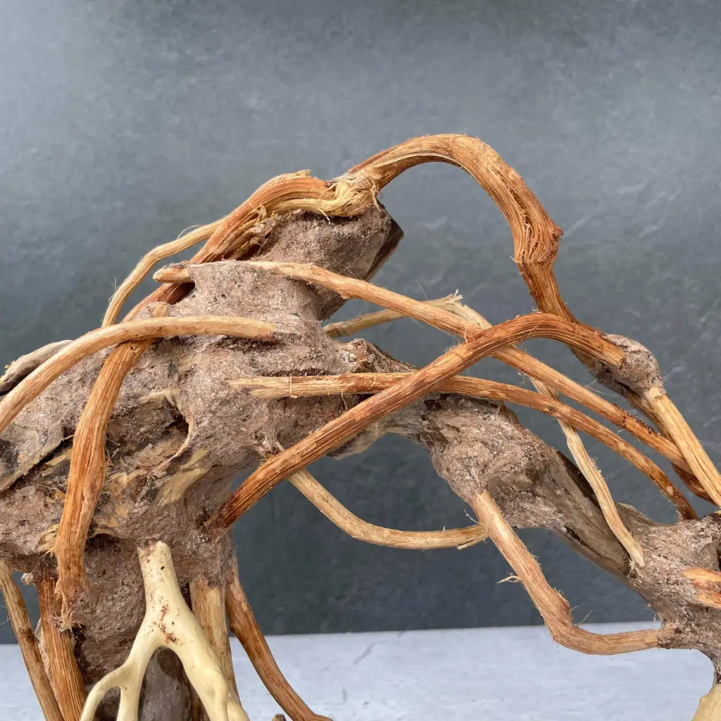 Aquascaping Handmade Aquatic Bonsai Driftwood Tree 25cm(L)x20cm(H) ABQ80