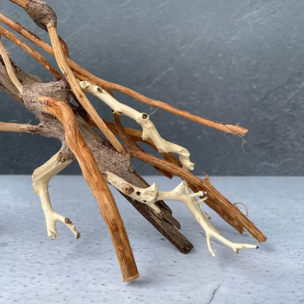 Aquascaping Handmade Aquatic Bonsai Driftwood Tree 25cm(L)x20cm(H) ABQ80