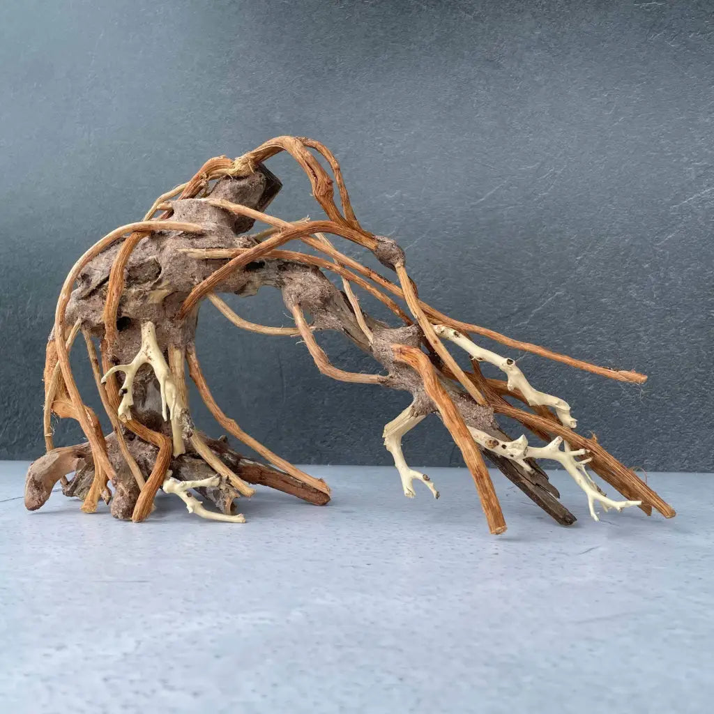 Aquascaping Handmade Aquatic Bonsai Driftwood Tree 25cm(L)x20cm(H) ABQ80