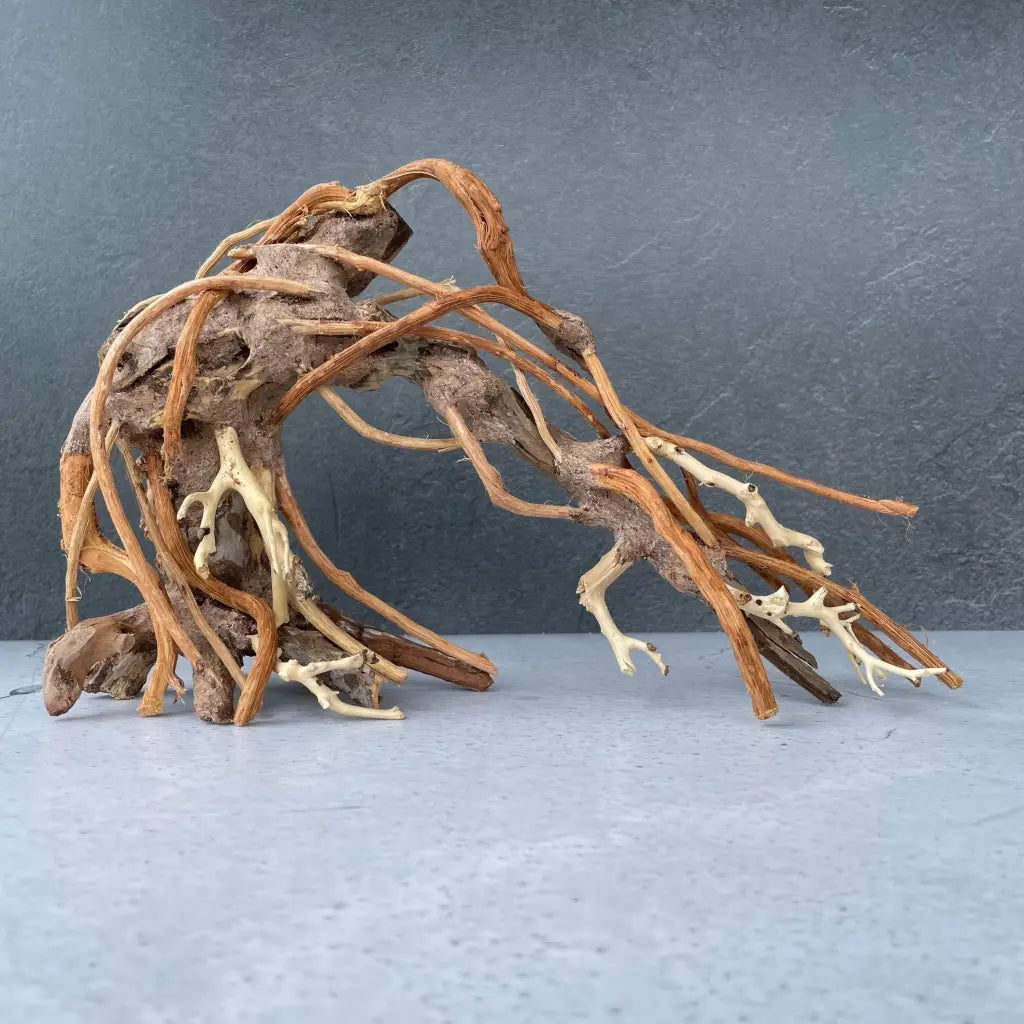 Aquascaping Handmade Aquatic Bonsai Driftwood Tree 25cm(L)x20cm(H) ABQ80
