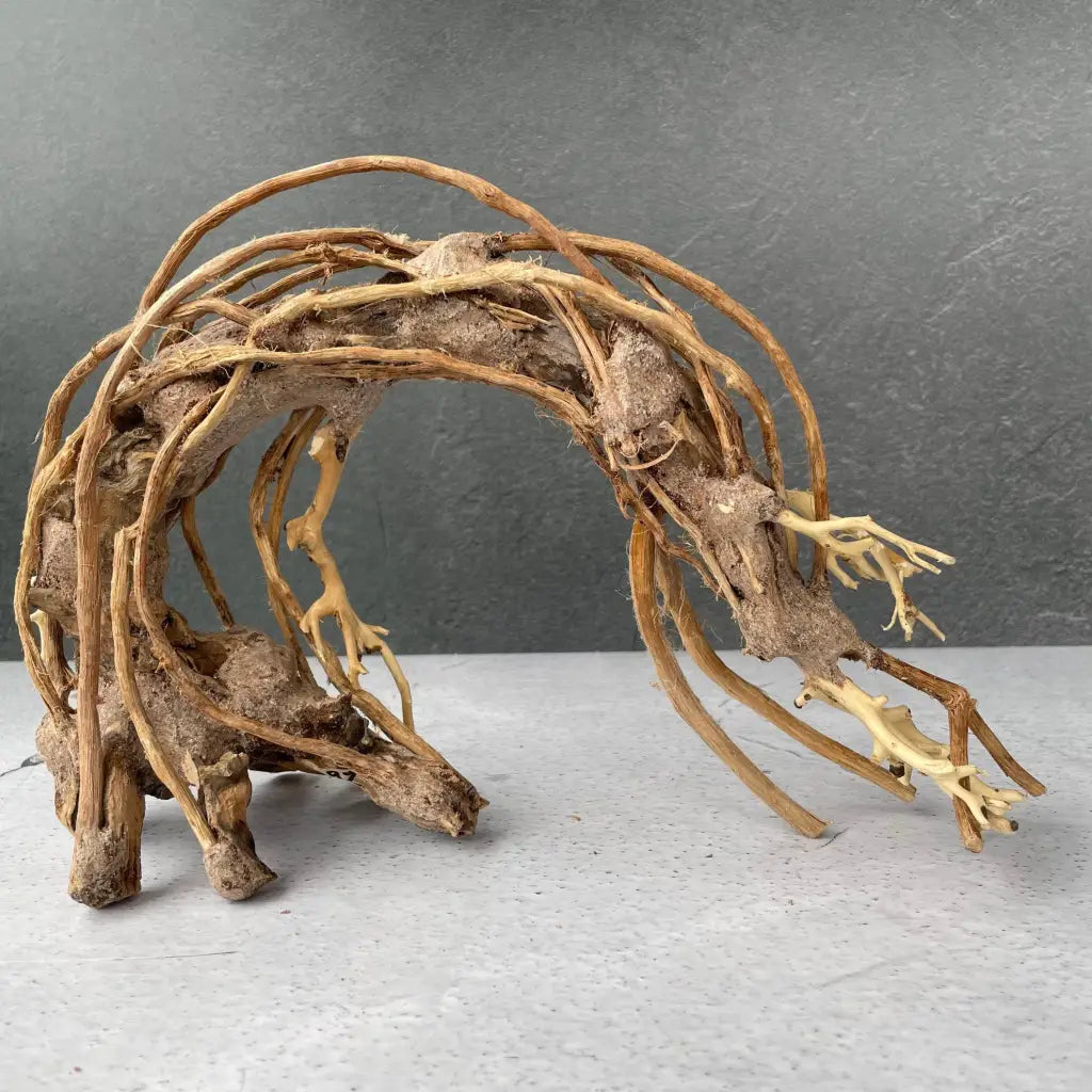 Aquascaping Handmade Aquatic Bonsai Driftwood Tree 25cm(L)x20cm(H) ABQ92