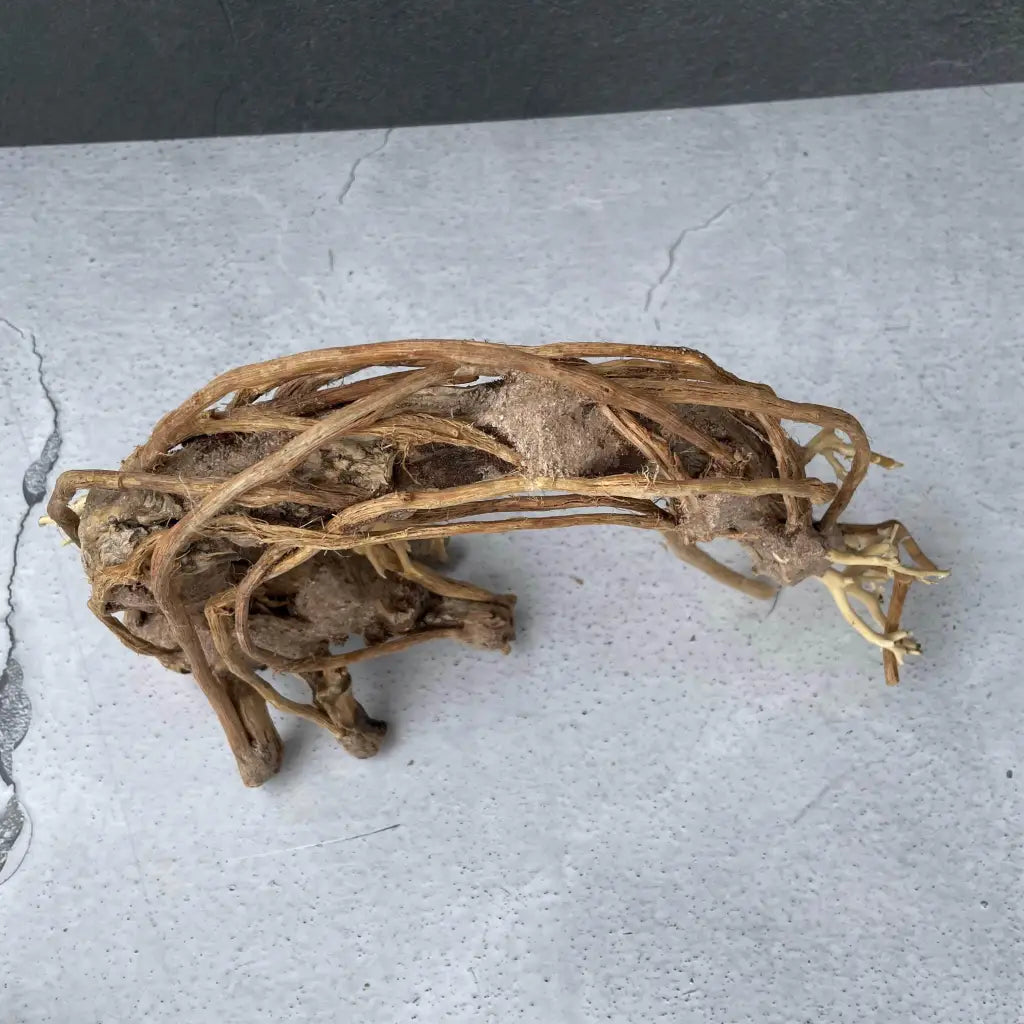 Aquascaping Handmade Aquatic Bonsai Driftwood Tree 25cm(L)x20cm(H) ABQ92