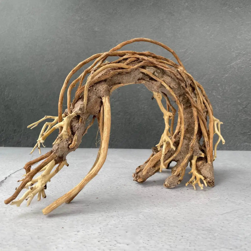 Aquascaping Handmade Aquatic Bonsai Driftwood Tree 25cm(L)x20cm(H) ABQ92