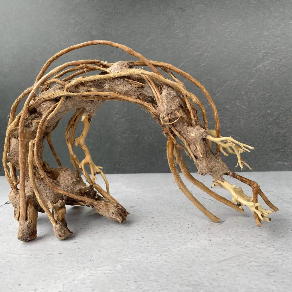 Aquascaping Handmade Aquatic Bonsai Driftwood Tree 25cm(L)x20cm(H) ABQ92