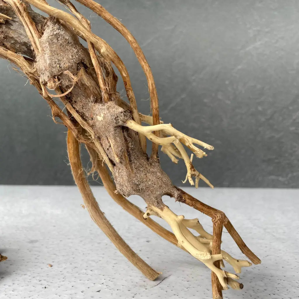 Aquascaping Handmade Aquatic Bonsai Driftwood Tree 25cm(L)x20cm(H) ABQ92