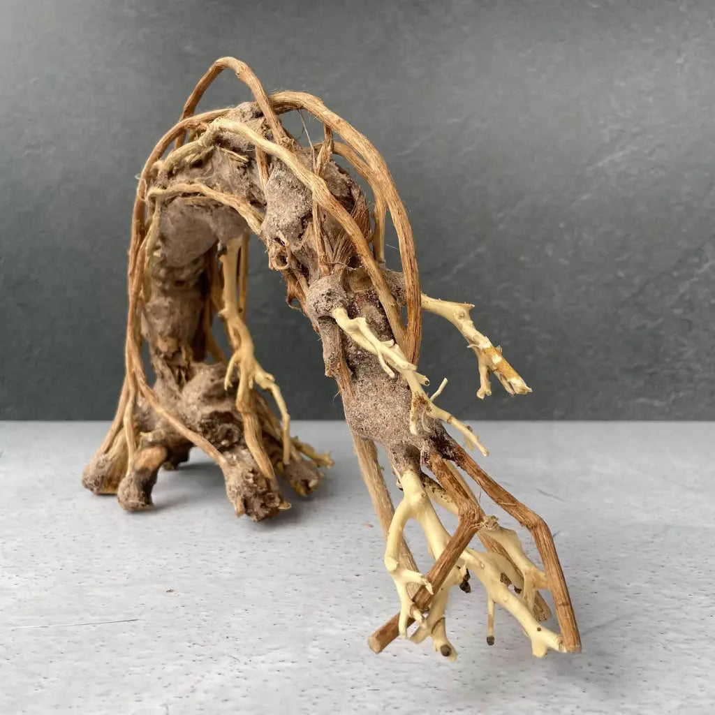 Aquascaping Handmade Aquatic Bonsai Driftwood Tree 25cm(L)x20cm(H) ABQ92