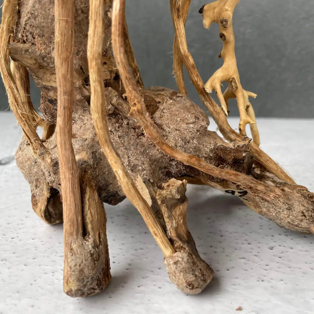 Aquascaping Handmade Aquatic Bonsai Driftwood Tree 25cm(L)x20cm(H) ABQ92
