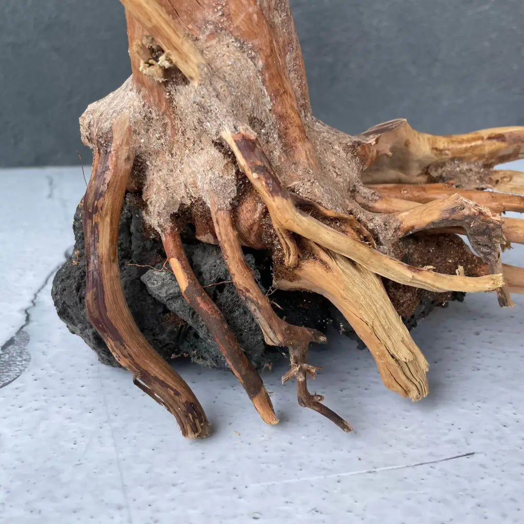 Aquascaping Handmade Aquatic Bonsai Driftwood Tree 30cm(L)x25cm(H) ABQ131