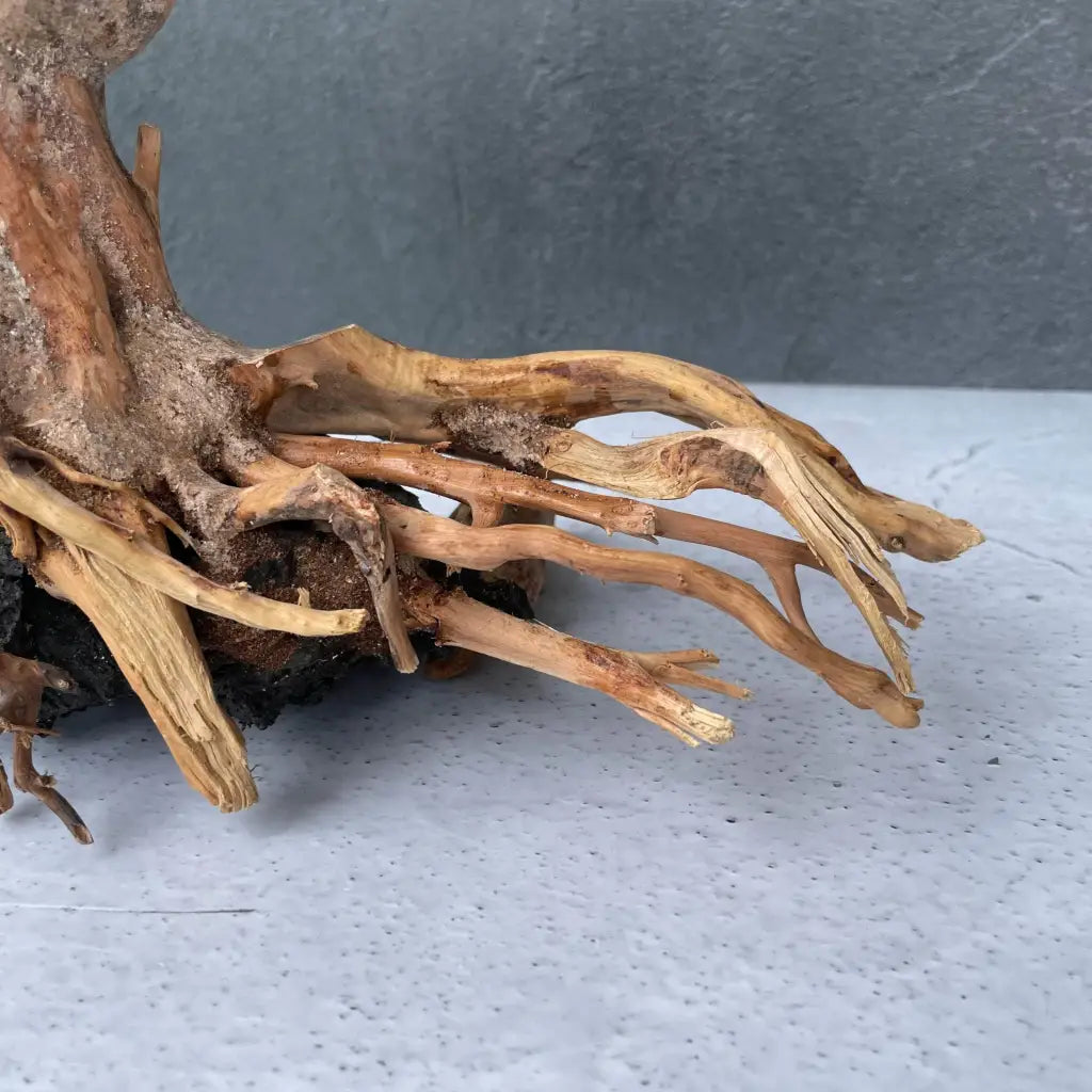 Aquascaping Handmade Aquatic Bonsai Driftwood Tree 30cm(L)x25cm(H) ABQ131