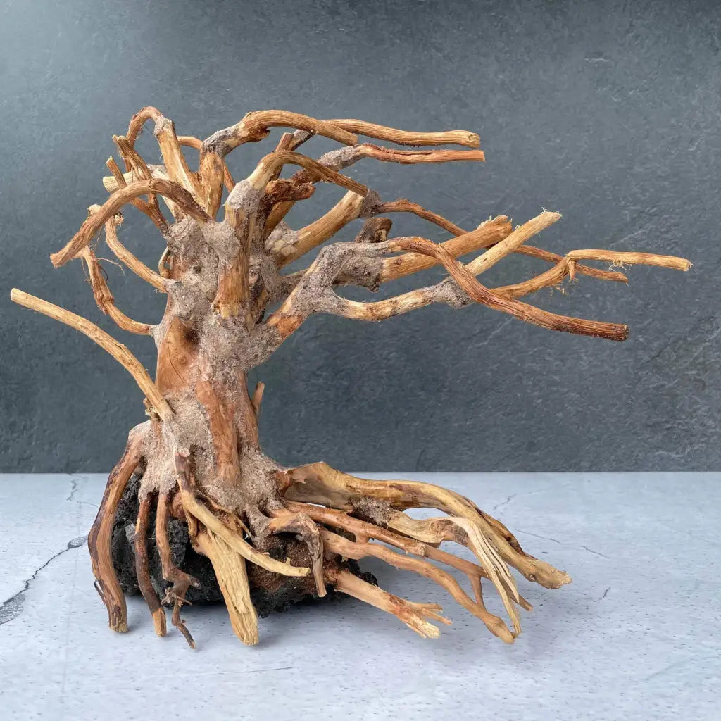 Aquascaping Handmade Aquatic Bonsai Driftwood Tree 30cm(L)x25cm(H) ABQ131