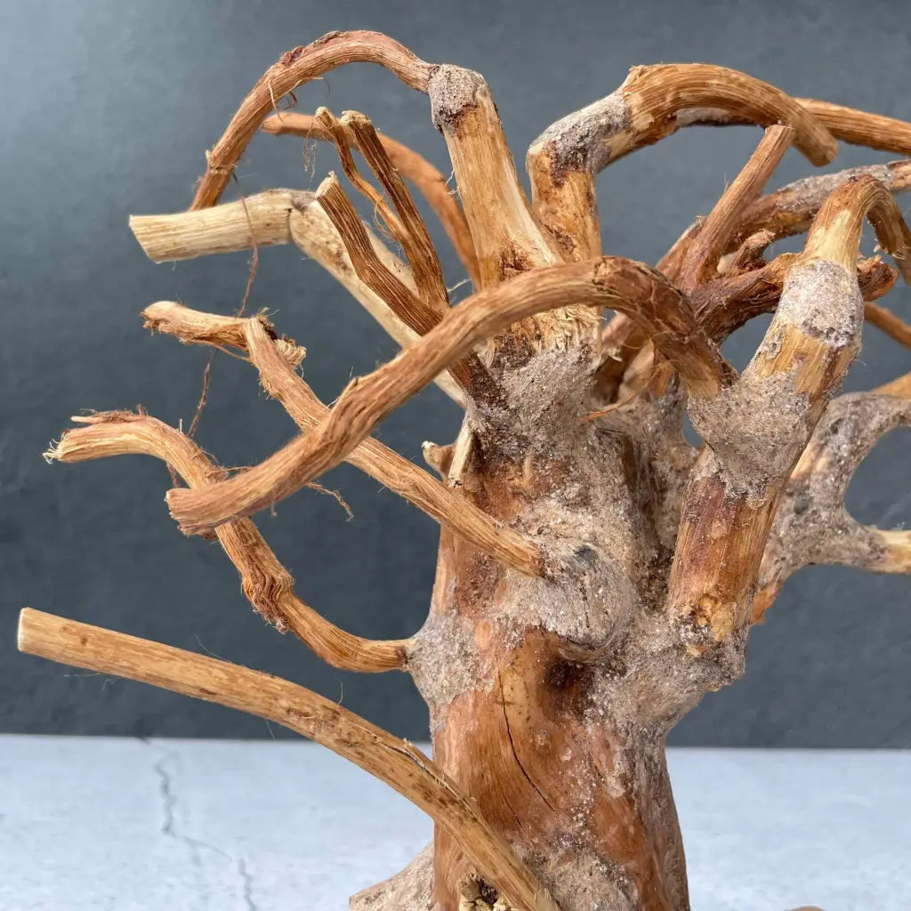 Aquascaping Handmade Aquatic Bonsai Driftwood Tree 30cm(L)x25cm(H) ABQ131