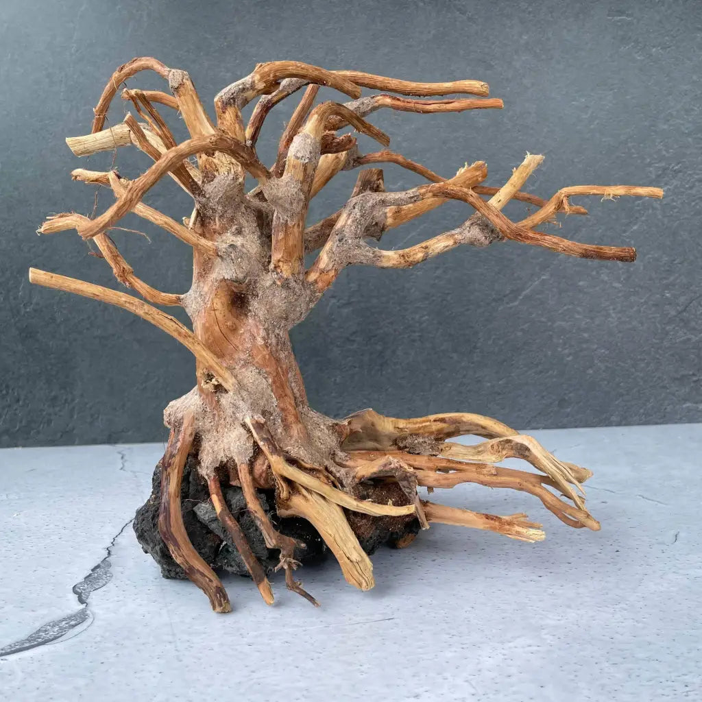 Aquascaping Handmade Aquatic Bonsai Driftwood Tree 30cm(L)x25cm(H) ABQ131