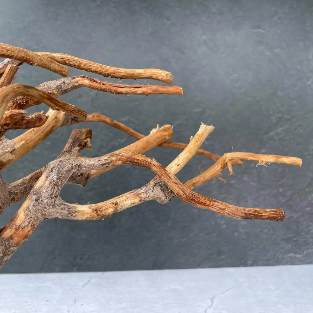 Aquascaping Handmade Aquatic Bonsai Driftwood Tree 30cm(L)x25cm(H) ABQ131