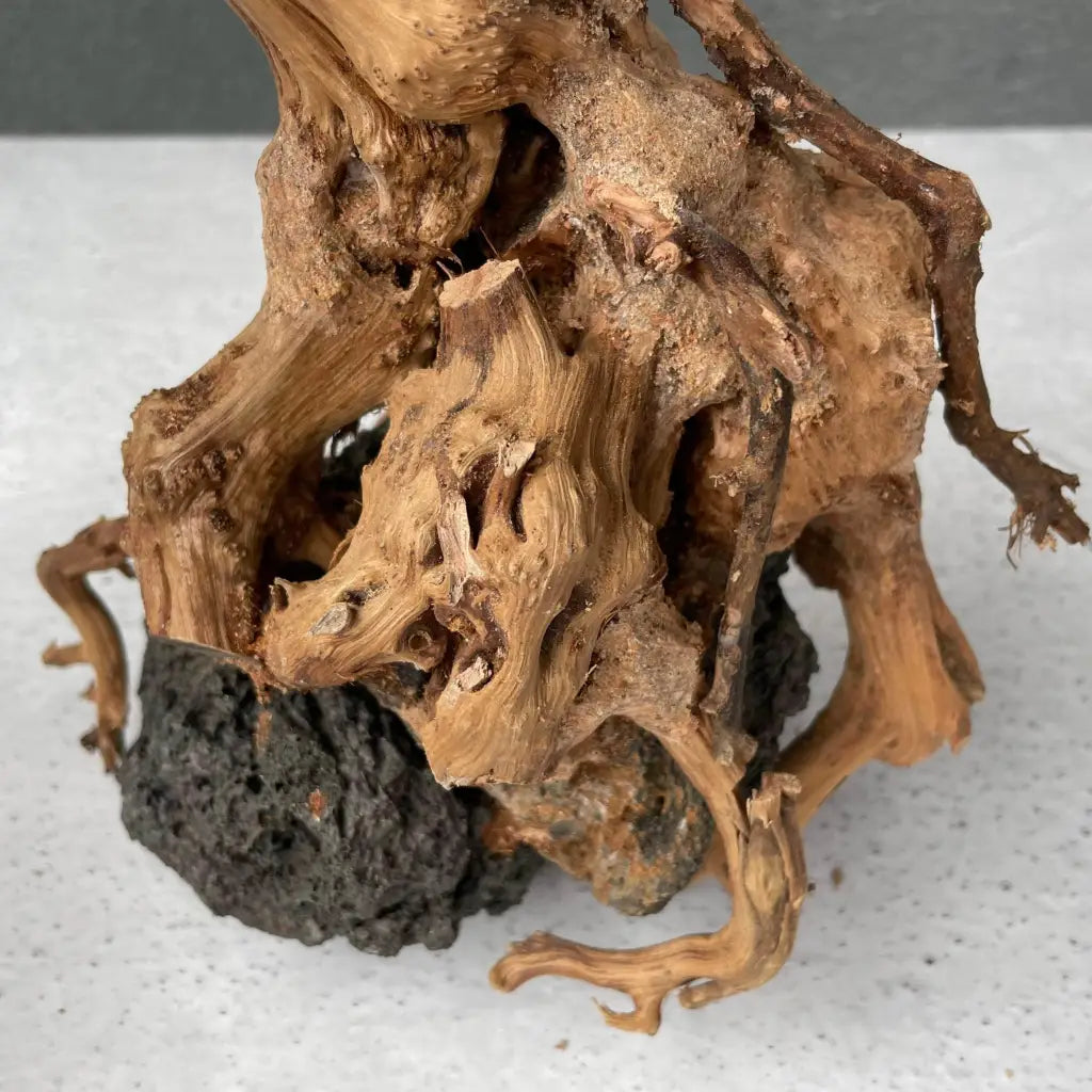 Aquascaping Handmade Aquatic Bonsai Driftwood Tree 30cm(L)x25cm(H) ABQ27