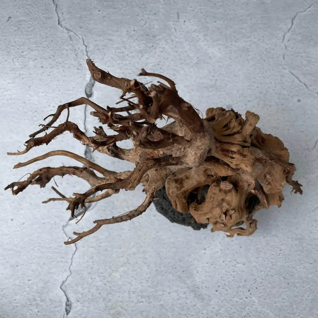 Aquascaping Handmade Aquatic Bonsai Driftwood Tree 30cm(L)x25cm(H) ABQ27