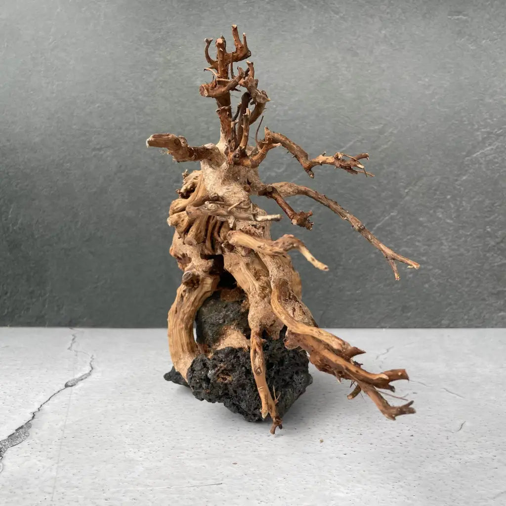 Aquascaping Handmade Aquatic Bonsai Driftwood Tree 30cm(L)x25cm(H) ABQ27