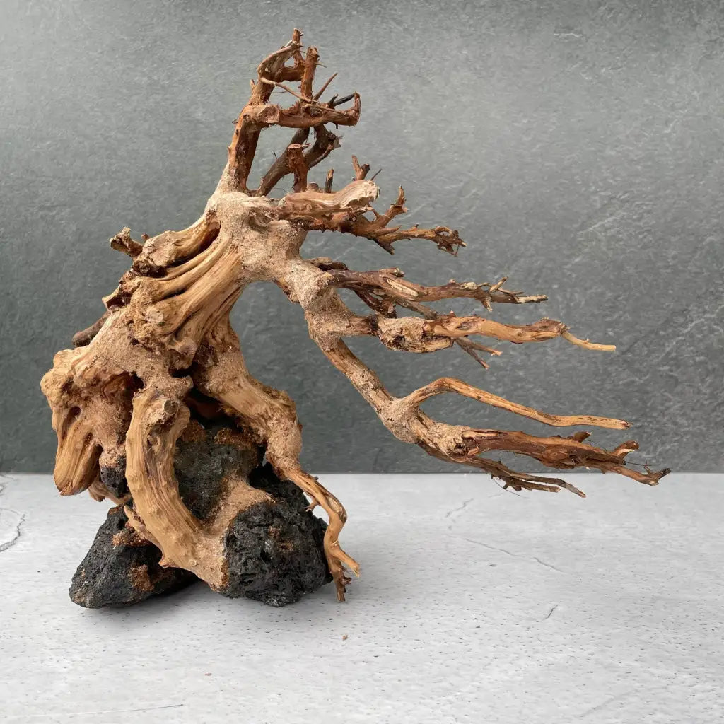 Aquascaping Handmade Aquatic Bonsai Driftwood Tree 30cm(L)x25cm(H) ABQ27