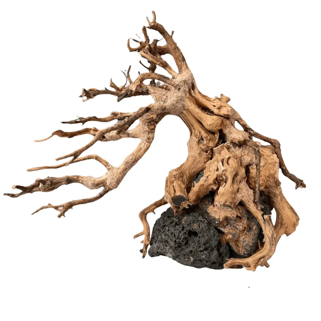 Aquascaping Handmade Aquatic Bonsai Driftwood Tree 30cm(L)x25cm(H) ABQ27