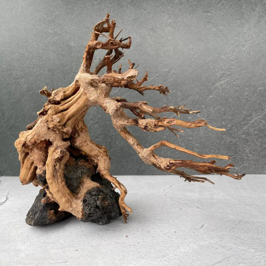 Aquascaping Handmade Aquatic Bonsai Driftwood Tree 30cm(L)x25cm(H) ABQ27