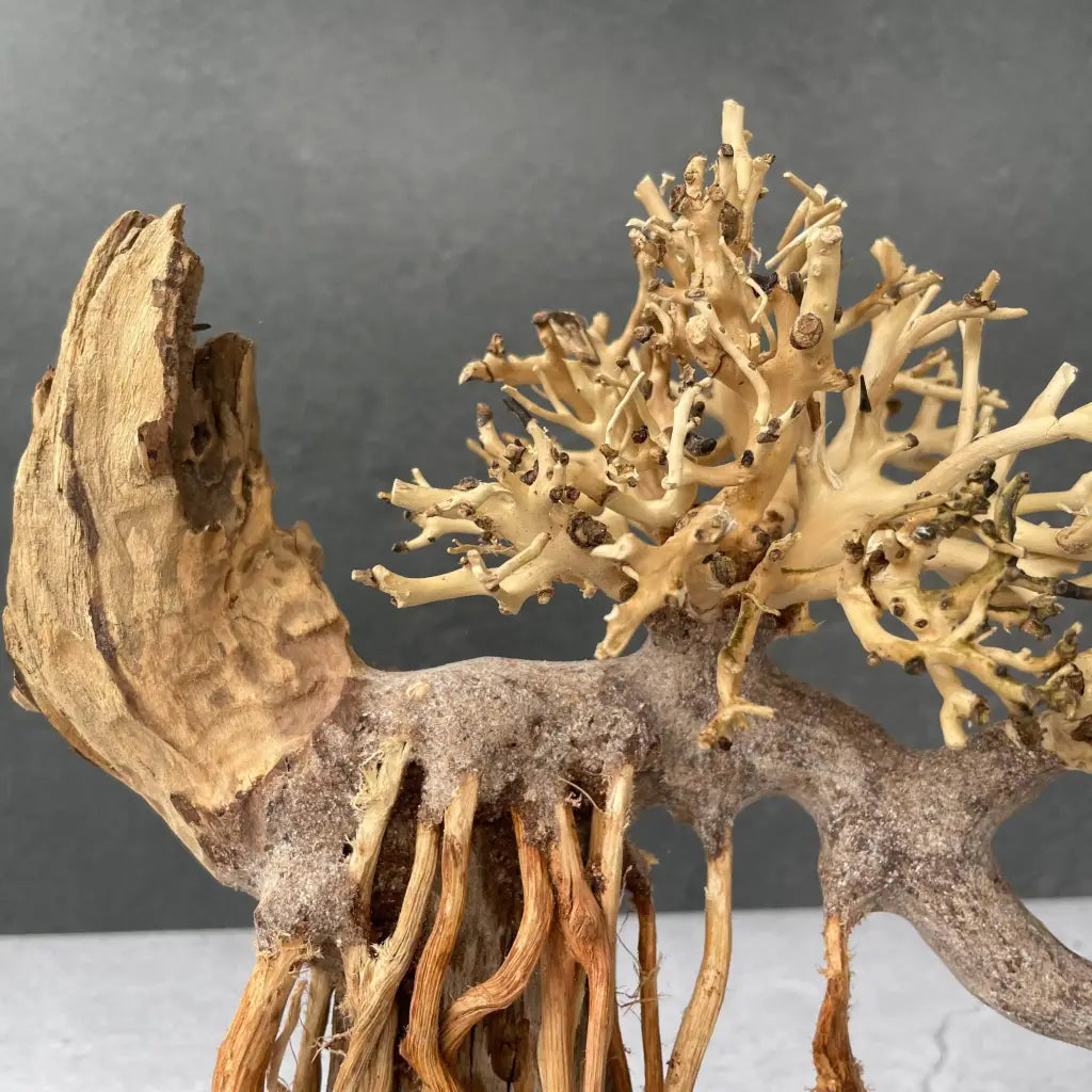 Aquascaping Handmade Aquatic Bonsai Driftwood Tree 30cm(L)x25cm(H) ABQ40