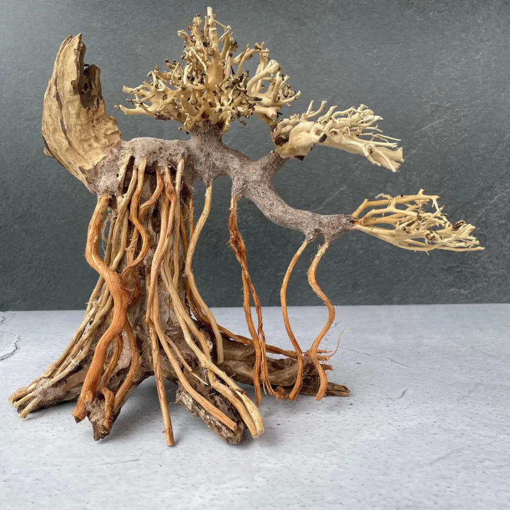 Aquascaping Handmade Aquatic Bonsai Driftwood Tree 30cm(L)x25cm(H) ABQ40